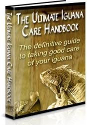 The Ultimate Iguana Care Handbook