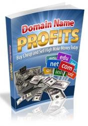 Domain Name Profits