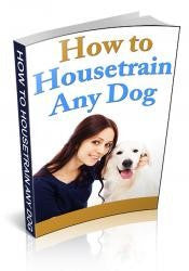 How To Housetrain Any Dog